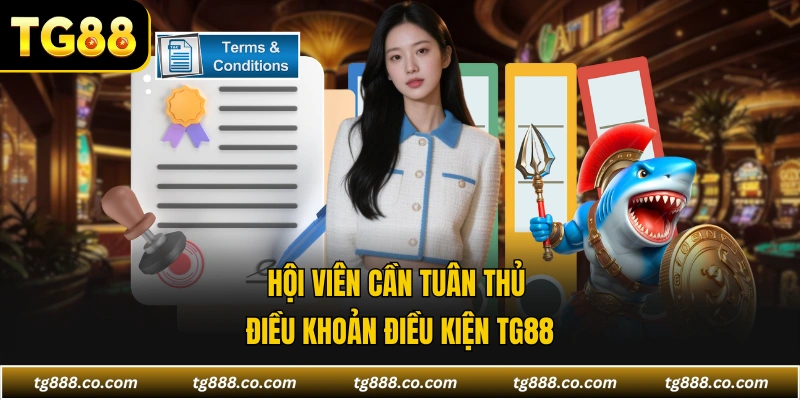 Hội viên cần tuân thủ điều khoản điều kiện TG88
